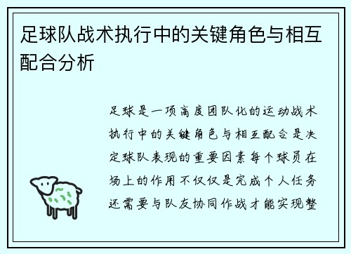 足球队战术执行中的关键角色与相互配合分析