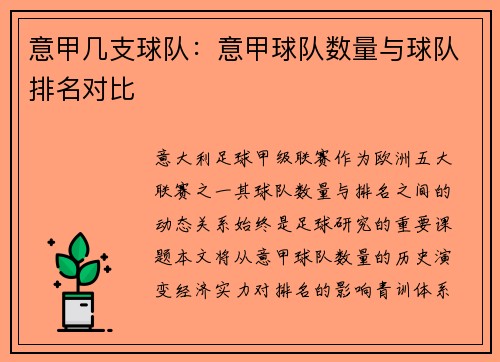 意甲几支球队：意甲球队数量与球队排名对比